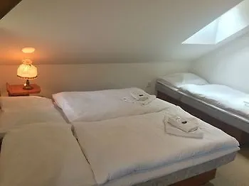 Lomnice Hotel & Restaurant Отель Шпиндлерув-Млин