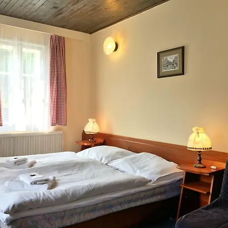 Lomnice Hotel & Restaurant Отель 3*