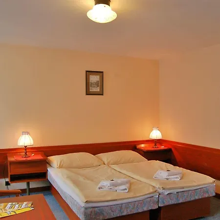 Lomnice Hotel & Restaurant Отель 3*