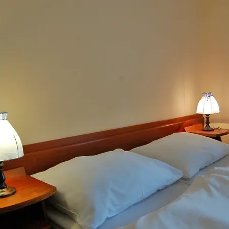 Lomnice Hotel & Restaurant Hotel 3*