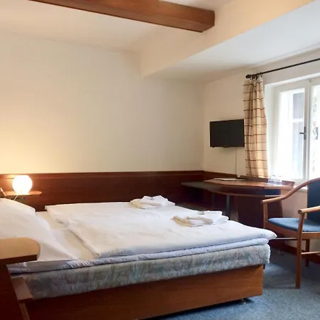 Hotel Lomnice Hotel & Restaurant