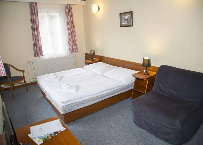 Lomnice Hotel & Restaurant Hotel