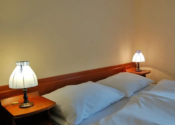 Lomnice Hotel & Restaurant Hotel 3*